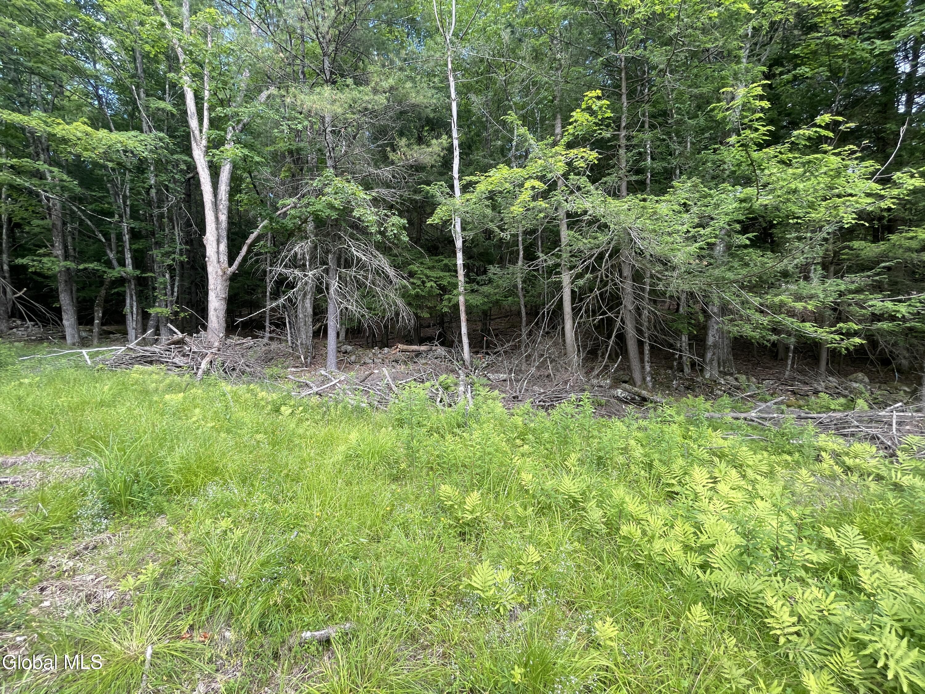 Tbd Boulder Brook Road Windham NY 12496