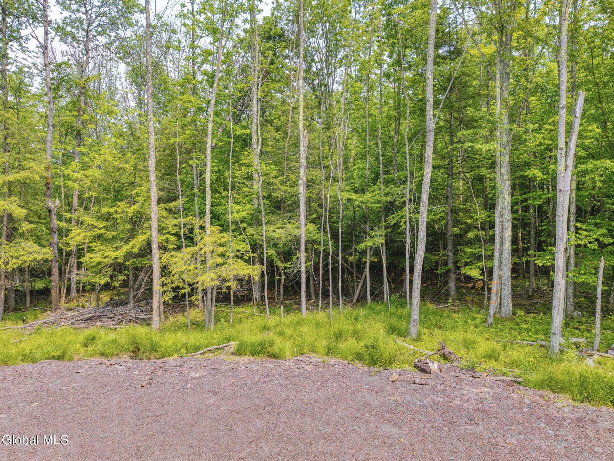 Tbd Boulder Brook Road Windham NY 12496