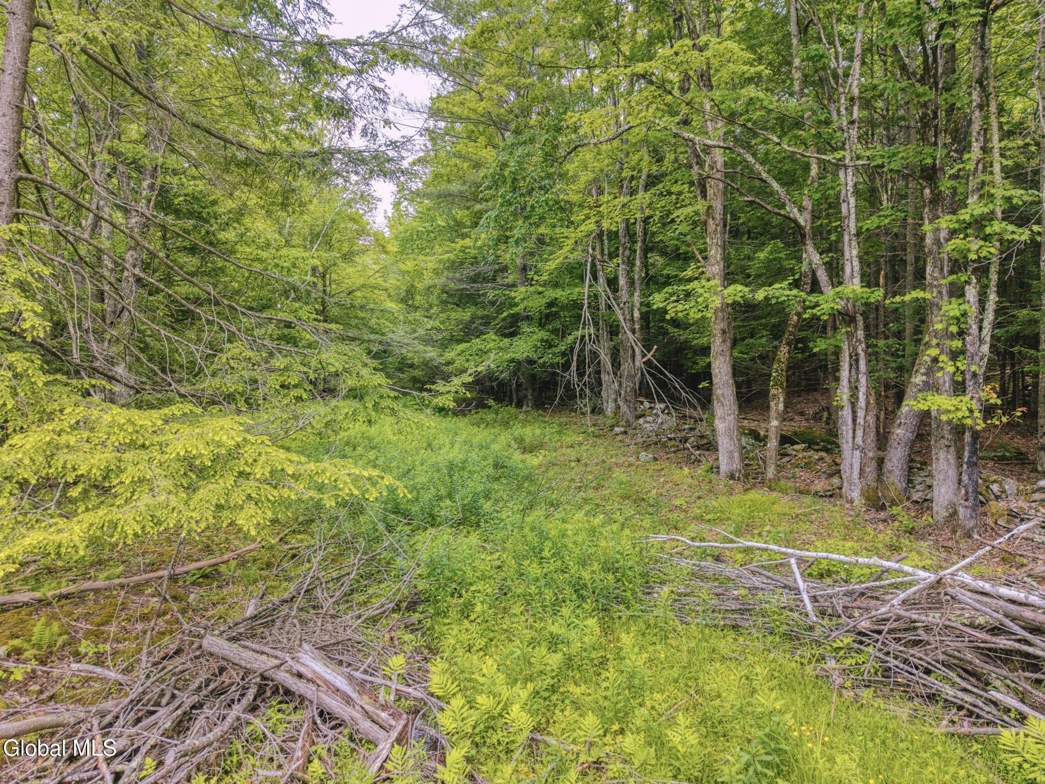 Tbd Boulder Brook Road Windham NY 12496