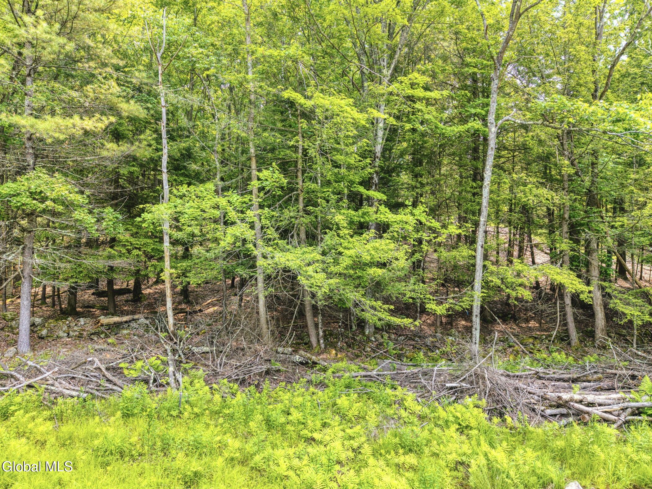 Tbd Boulder Brook Road Windham NY 12496