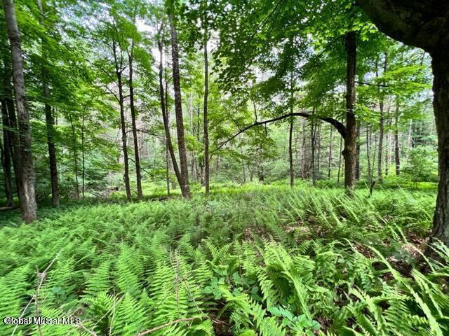 L 67.1 Mcgregor Road Gloversville NY 12078