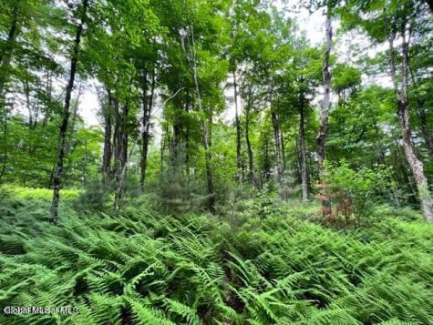 L 67.1 Mcgregor Road Gloversville NY 12078