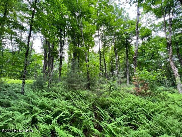 L 67.1 Mcgregor Road Gloversville NY 12078