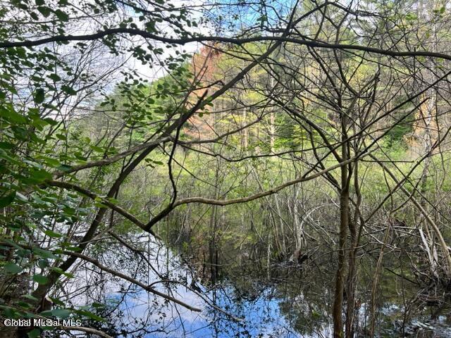 L 67.1 Mcgregor Road Gloversville NY 12078