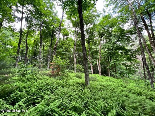 L 67.1 Mcgregor Road Gloversville NY 12078