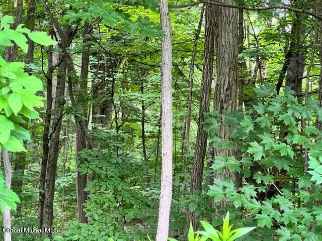 L 67.1 Mcgregor Road Gloversville NY 12078