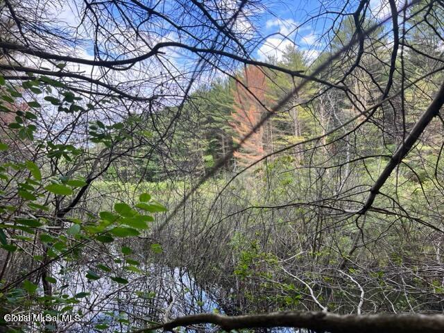 L 67.1 Mcgregor Road Gloversville NY 12078