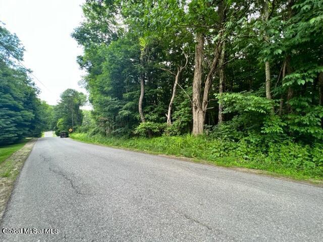 L 67.1 Mcgregor Road Gloversville NY 12078