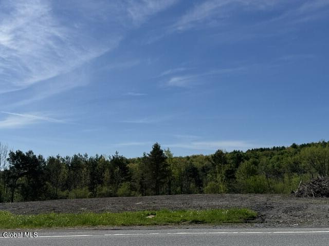L2.114 Duanesburg Road Duanesburg NY 12053