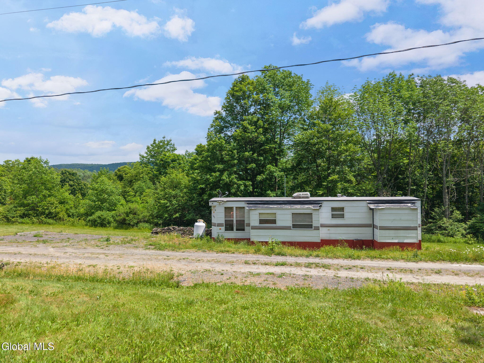 151 Lookout Drive Summit NY 12036