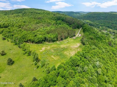 151 Lookout Drive Summit NY 12036