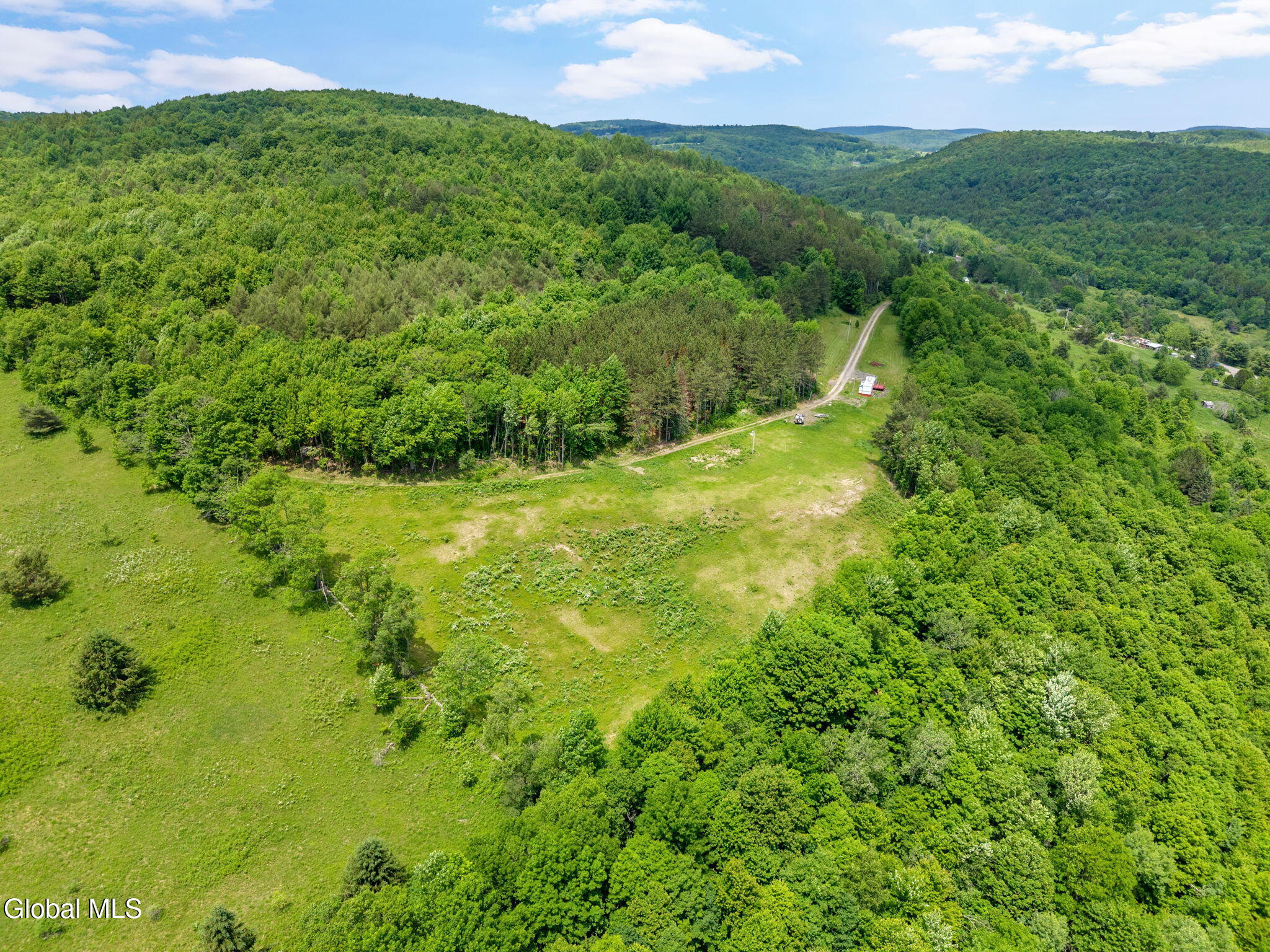 151 Lookout Drive Summit NY 12036