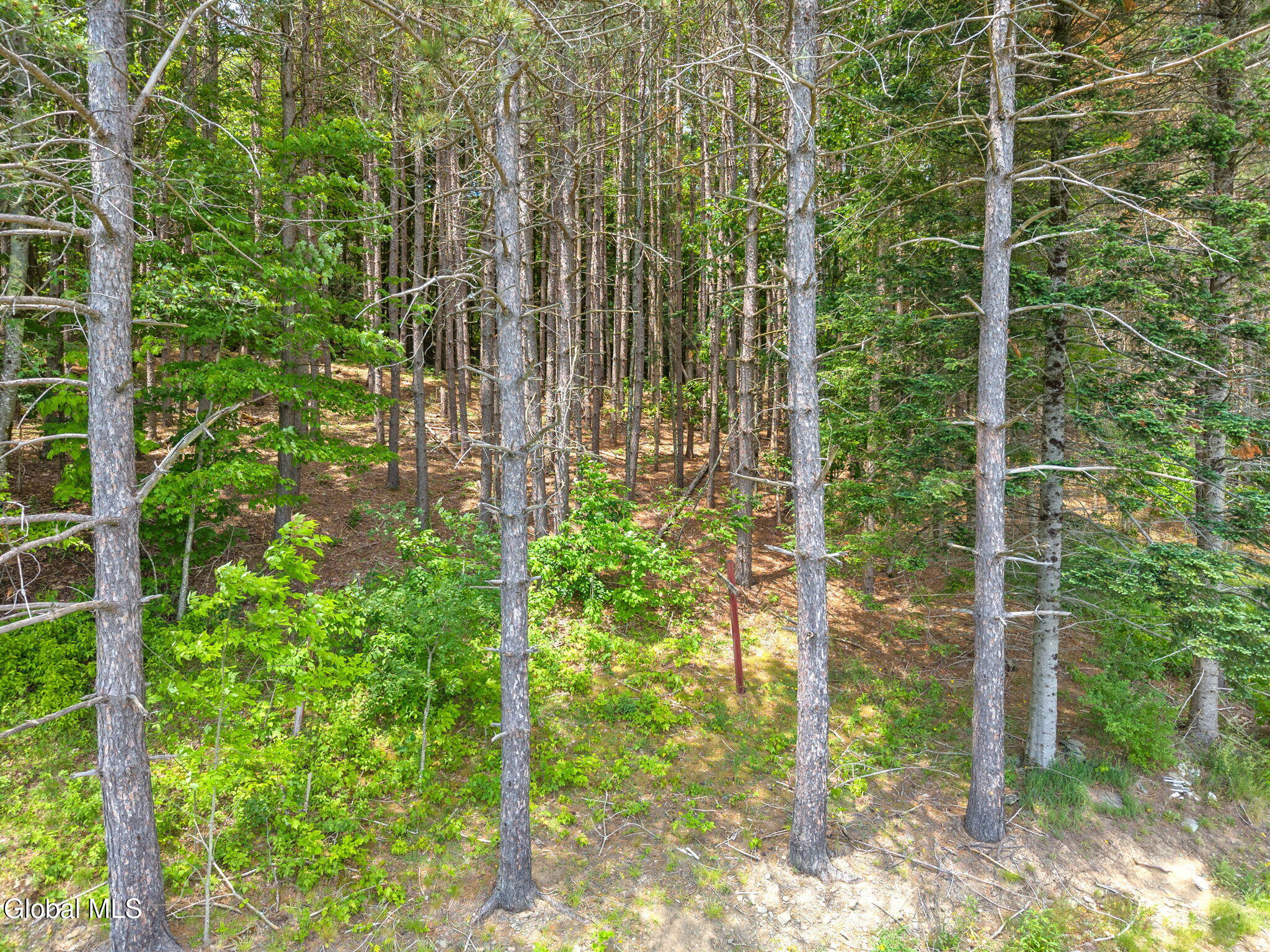 151 Lookout Drive Summit NY 12036