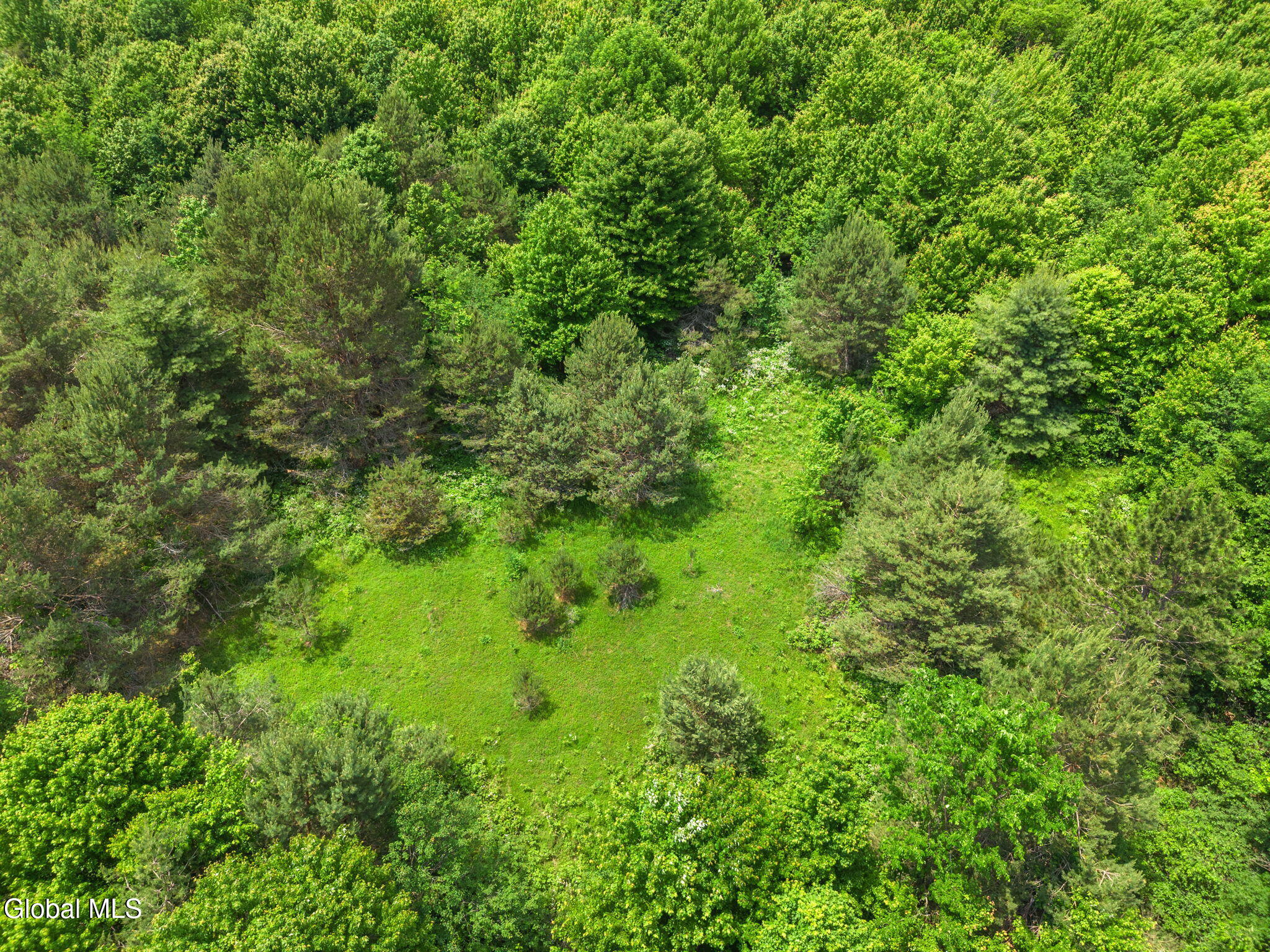 151 Lookout Drive Summit NY 12036
