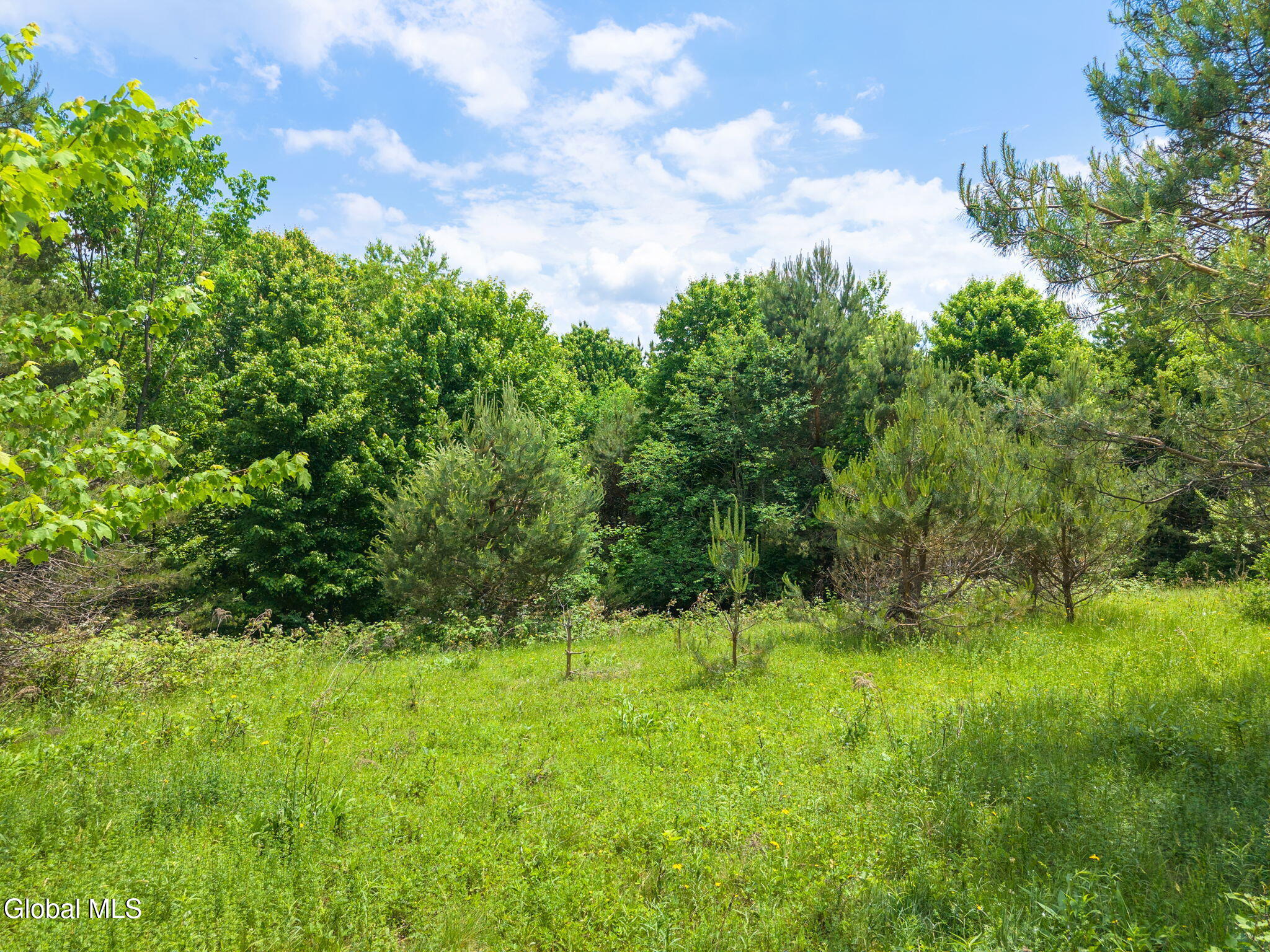 151 Lookout Drive Summit NY 12036