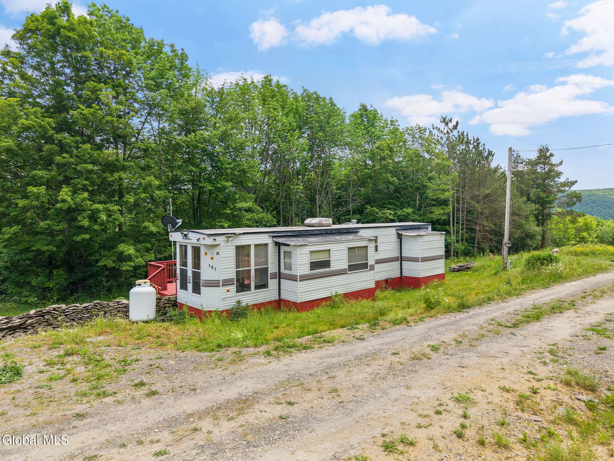 151 Lookout Drive Summit NY 12036
