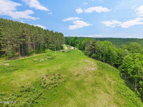 151 Lookout Drive Summit NY 12036