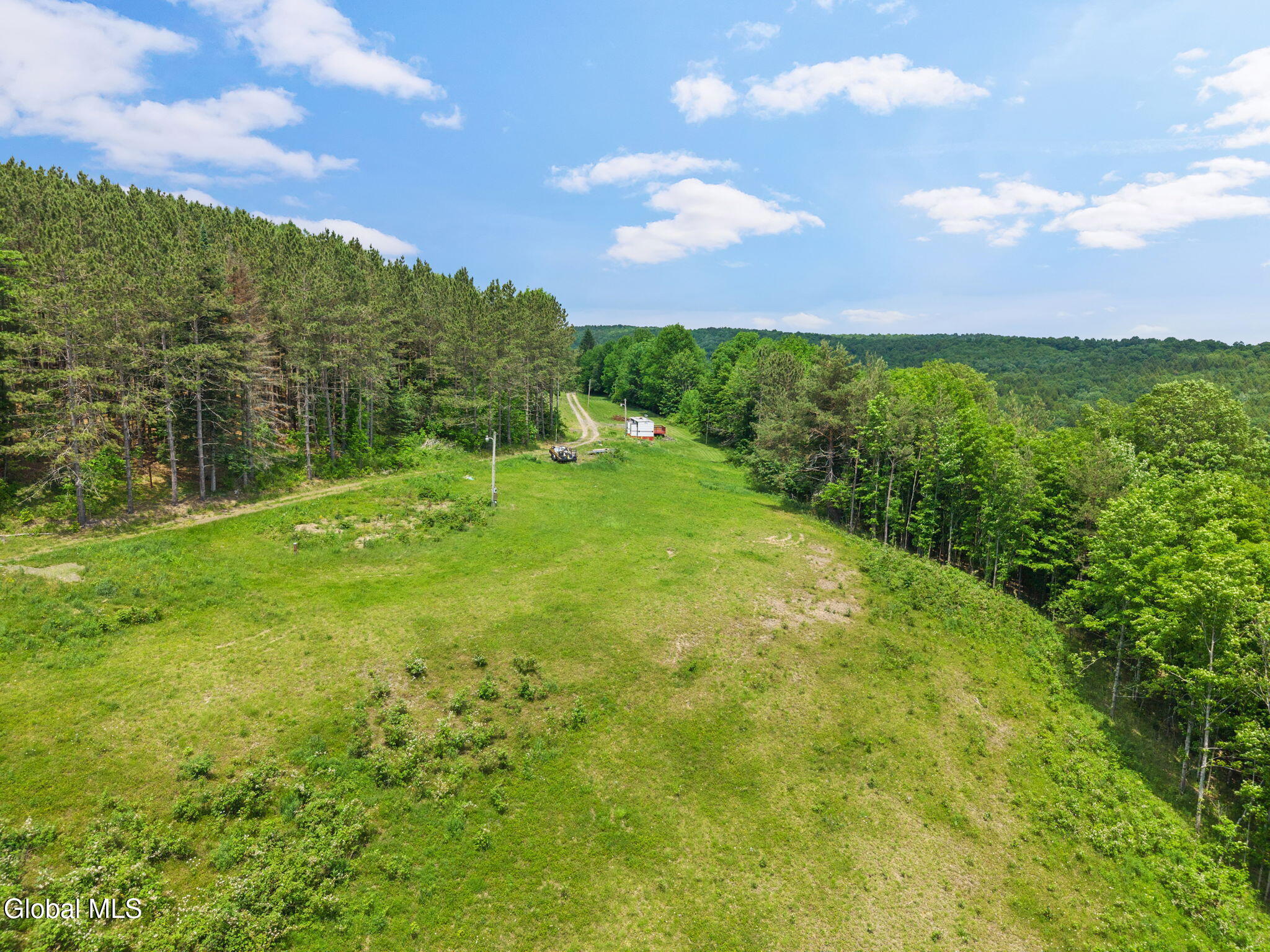 151 Lookout Drive Summit NY 12036