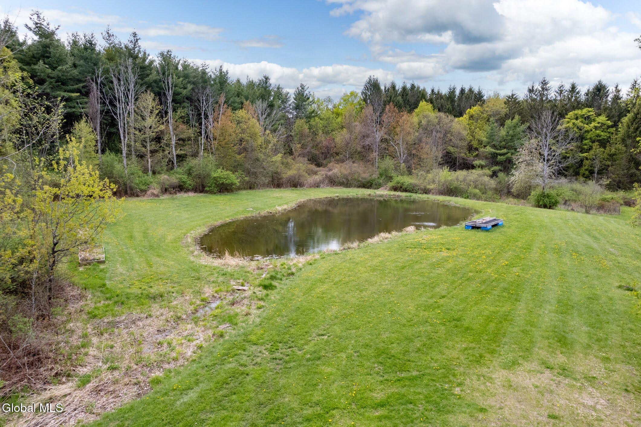 578 N Hillman Road Delanson NY 12053