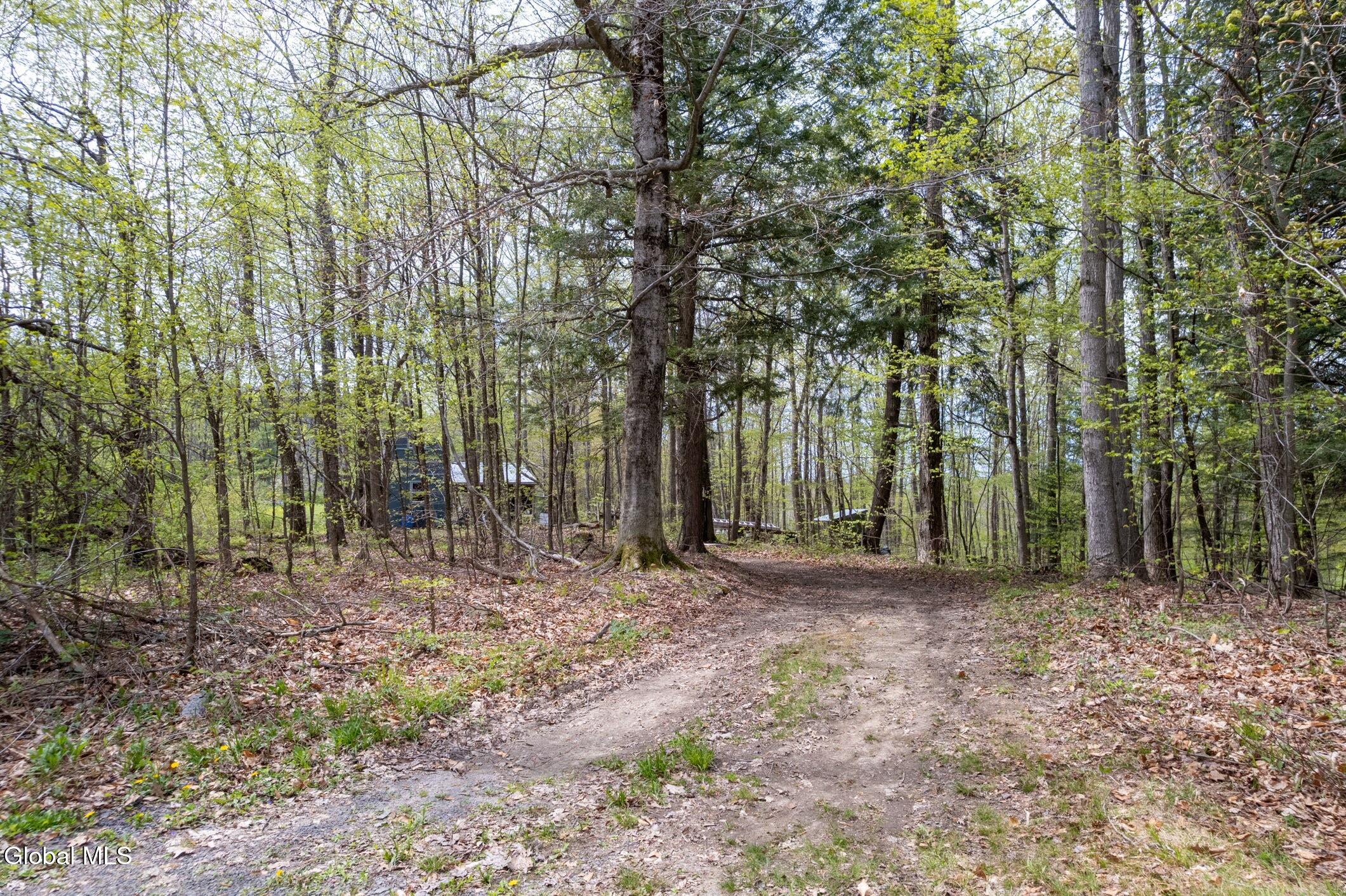 578 N Hillman Road Delanson NY 12053