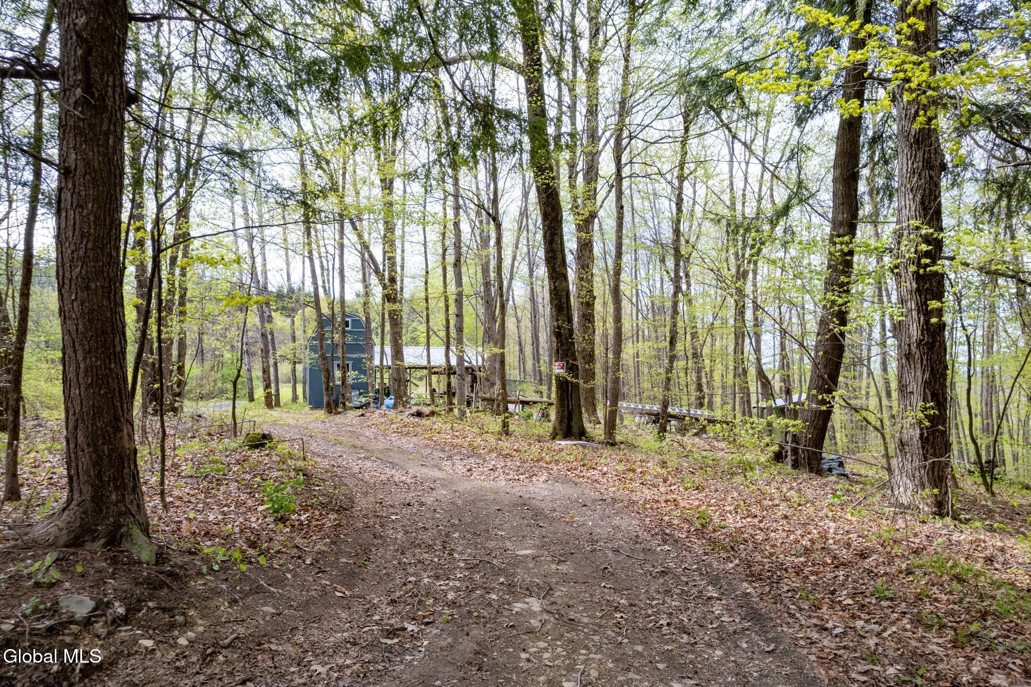 578 N Hillman Road Delanson NY 12053