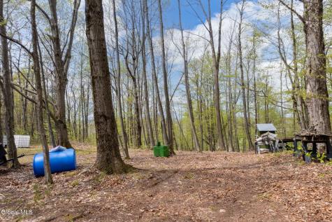 578 N Hillman Road Delanson NY 12053