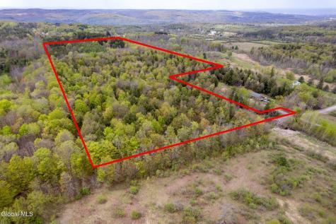 578 N Hillman Road Delanson NY 12053