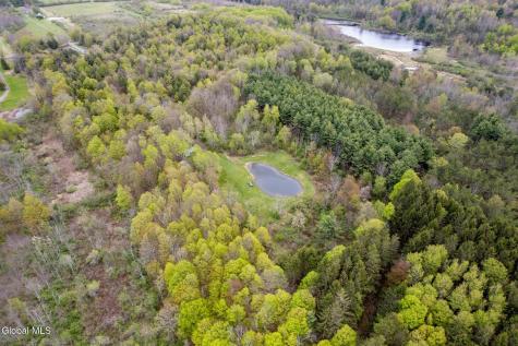 578 N Hillman Road Delanson NY 12053
