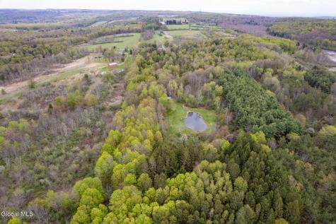 578 N Hillman Road Delanson NY 12053