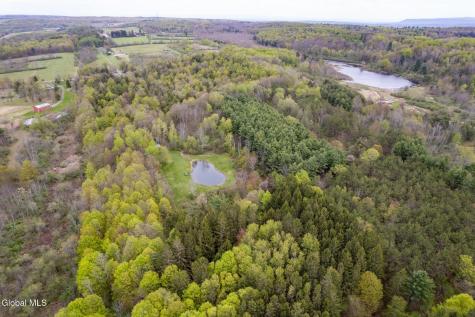 578 N Hillman Road Delanson NY 12053