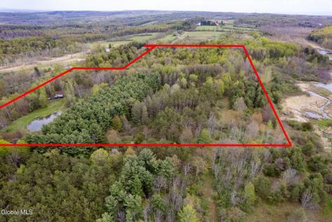 578 N Hillman Road Delanson NY 12053
