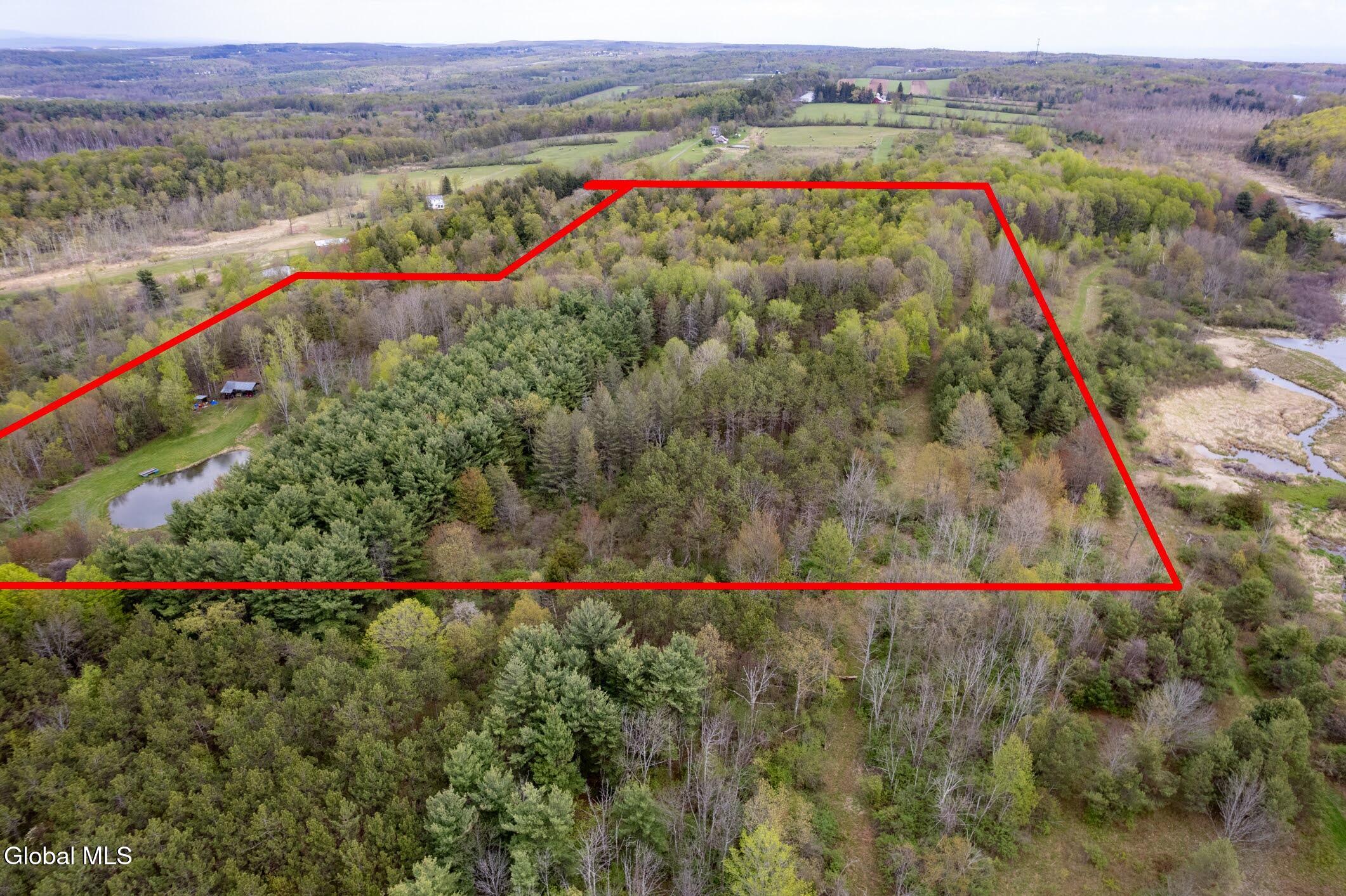 578 N Hillman Road Delanson NY 12053