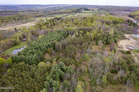 578 N Hillman Road Delanson NY 12053