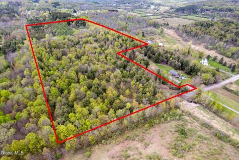 578 N Hillman Road Delanson NY 12053