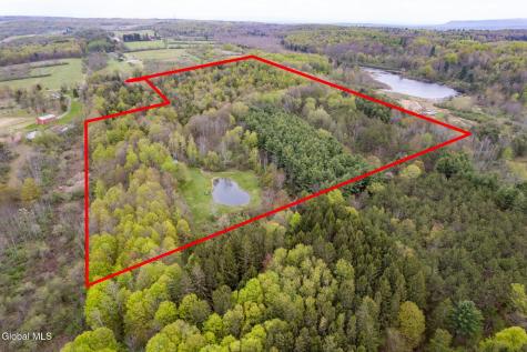 578 N Hillman Road Delanson NY 12053
