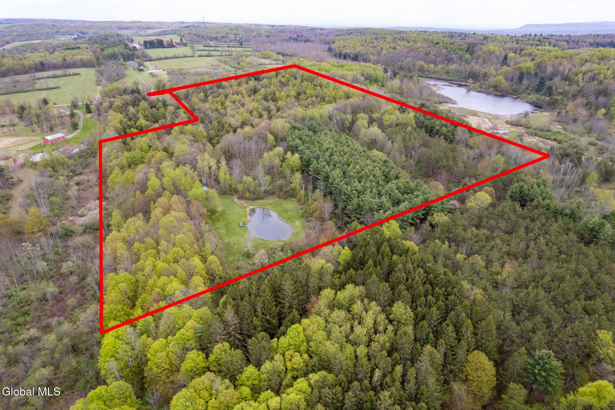 578 N Hillman Road Delanson NY 12053