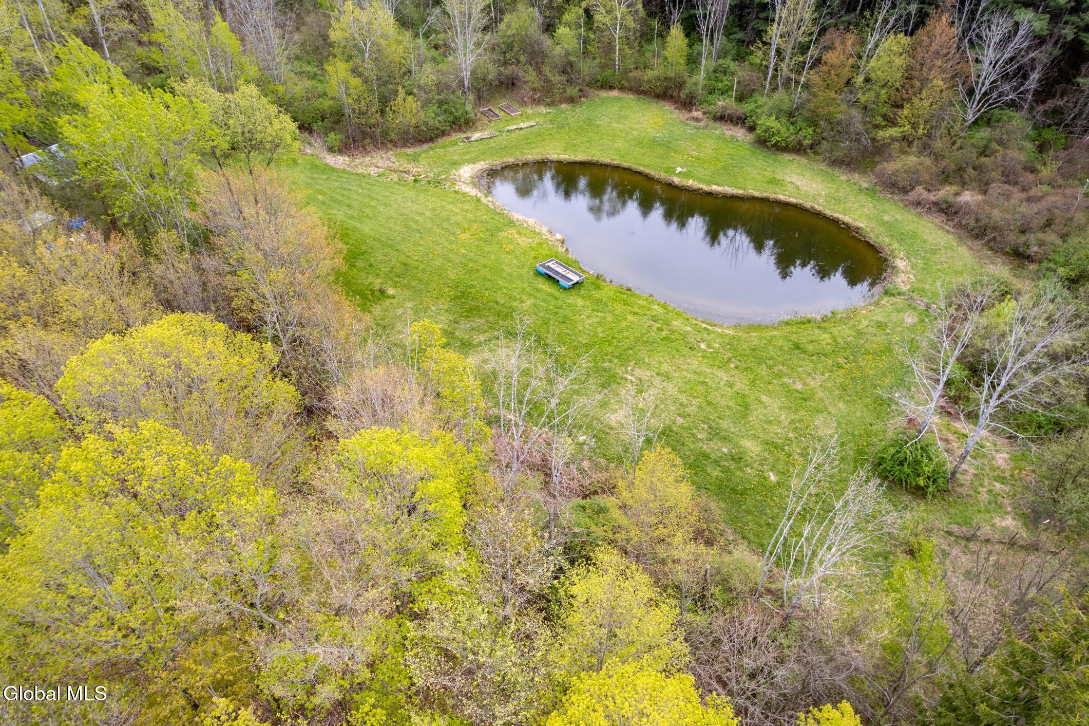 578 N Hillman Road Delanson NY 12053