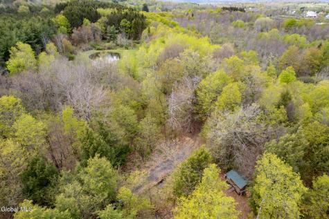 578 N Hillman Road Delanson NY 12053