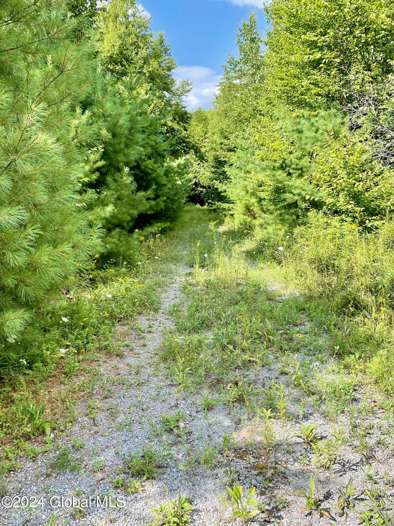 8 Lake Ridge Road Bolton NY 12814