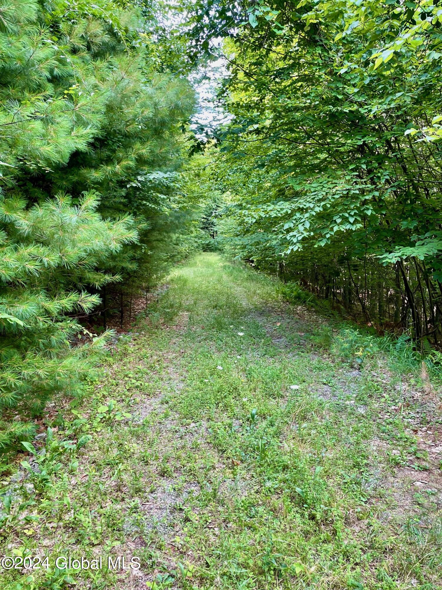 8 Lake Ridge Road Bolton NY 12814