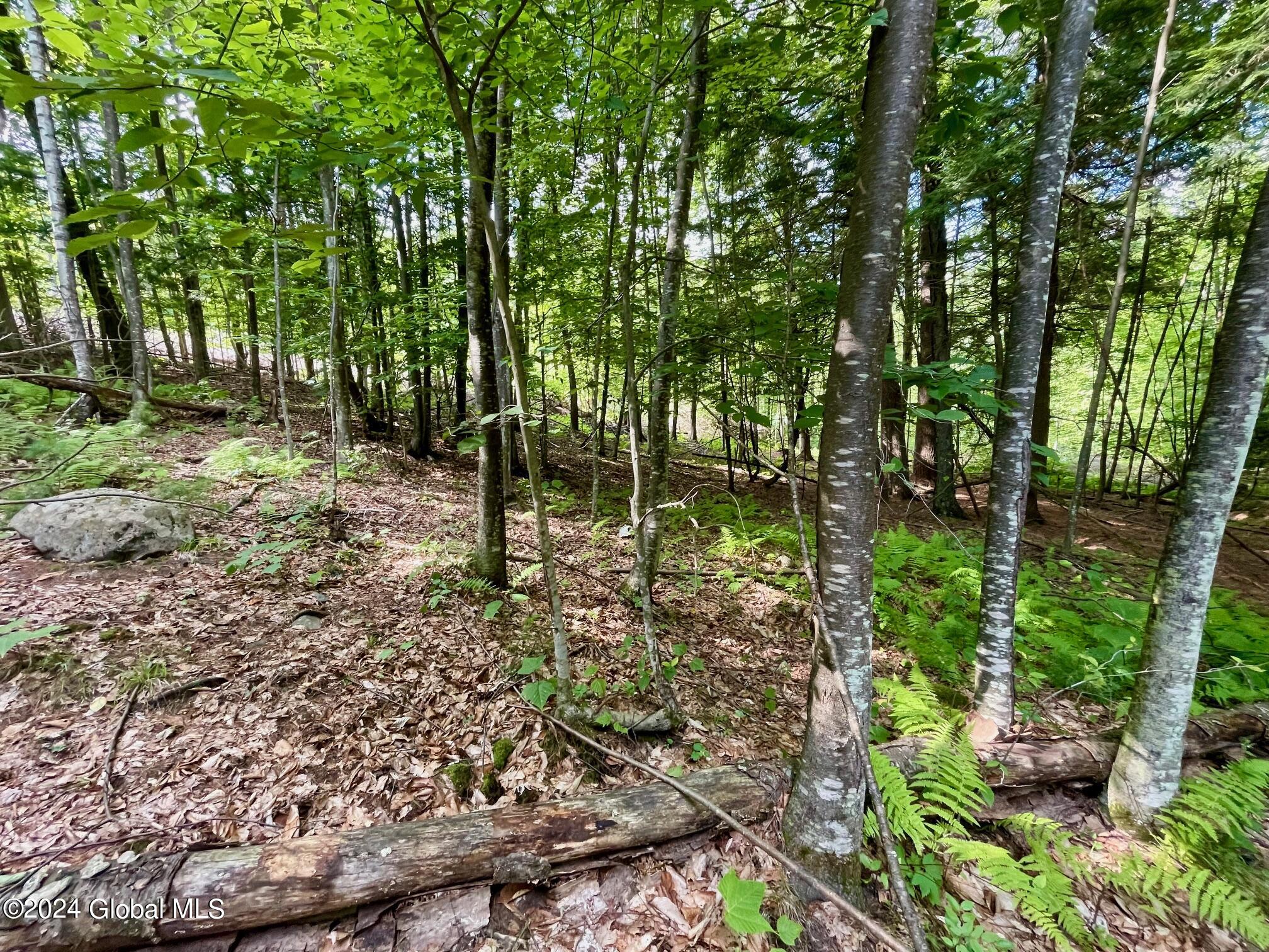 8 Lake Ridge Road Bolton NY 12814