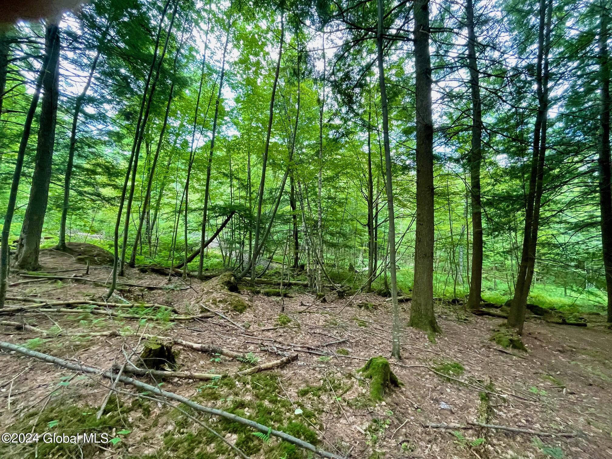 8 Lake Ridge Road Bolton NY 12814