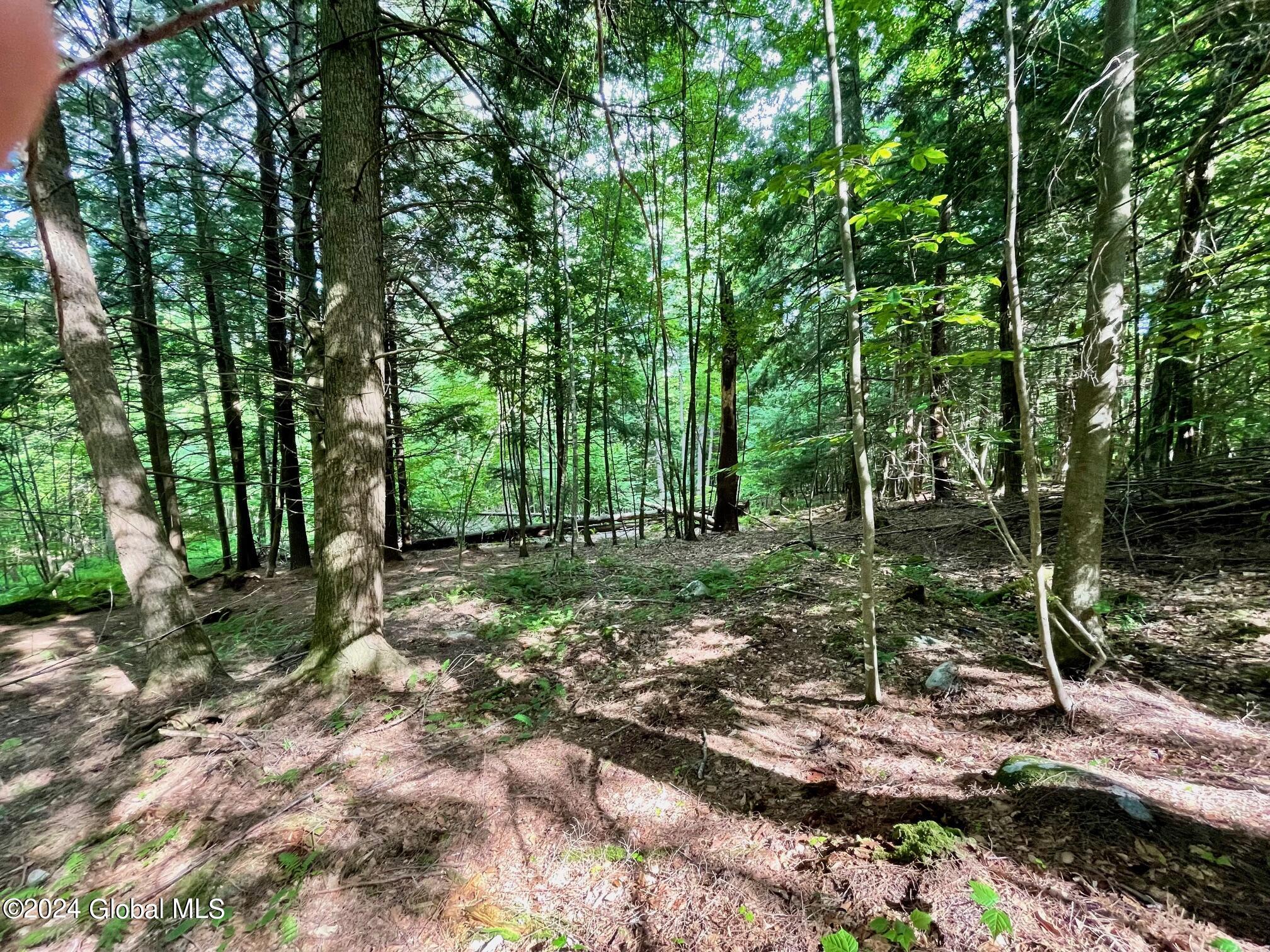 8 Lake Ridge Road Bolton NY 12814