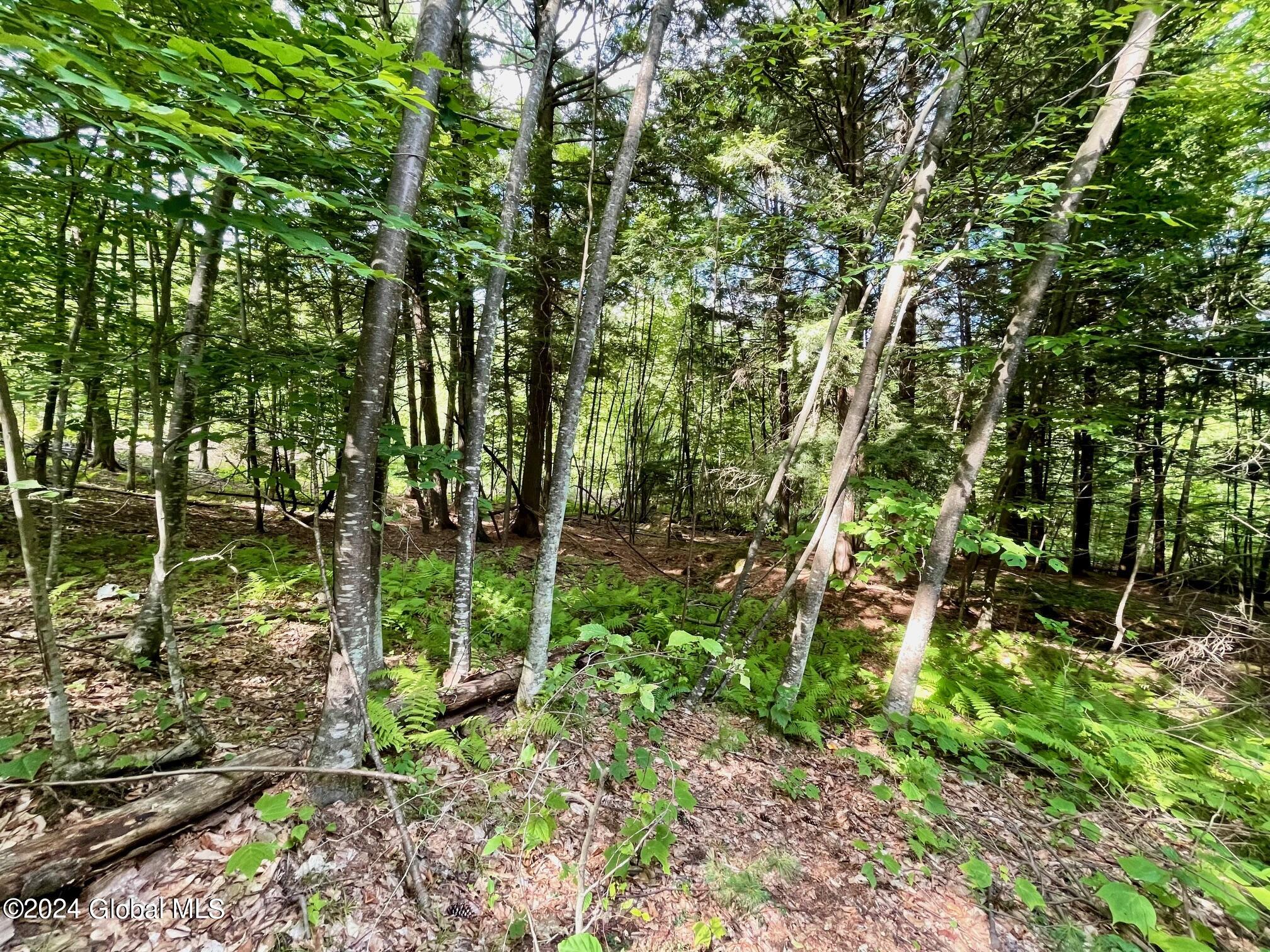 8 Lake Ridge Road Bolton NY 12814