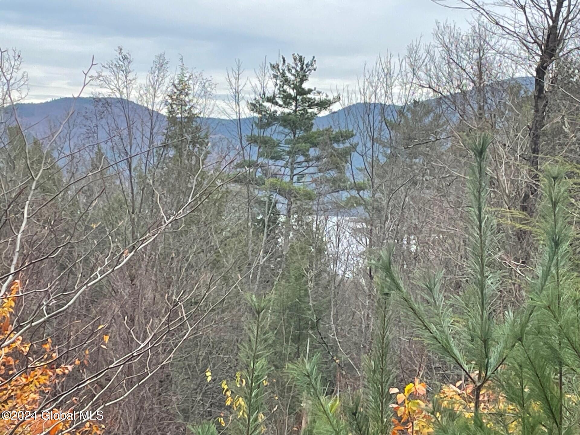 8 Lake Ridge Road Bolton NY 12814