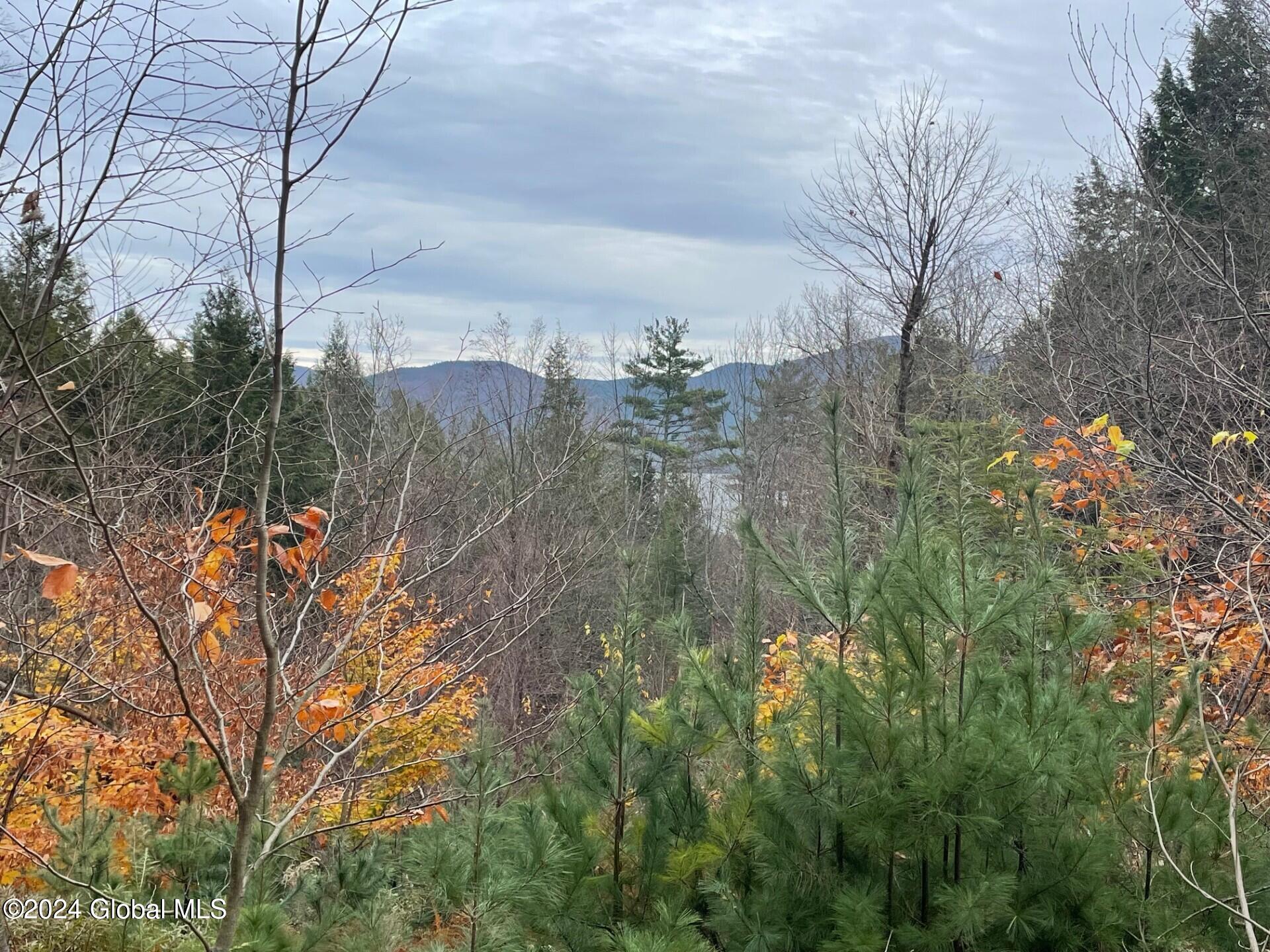 8 Lake Ridge Road Bolton NY 12814