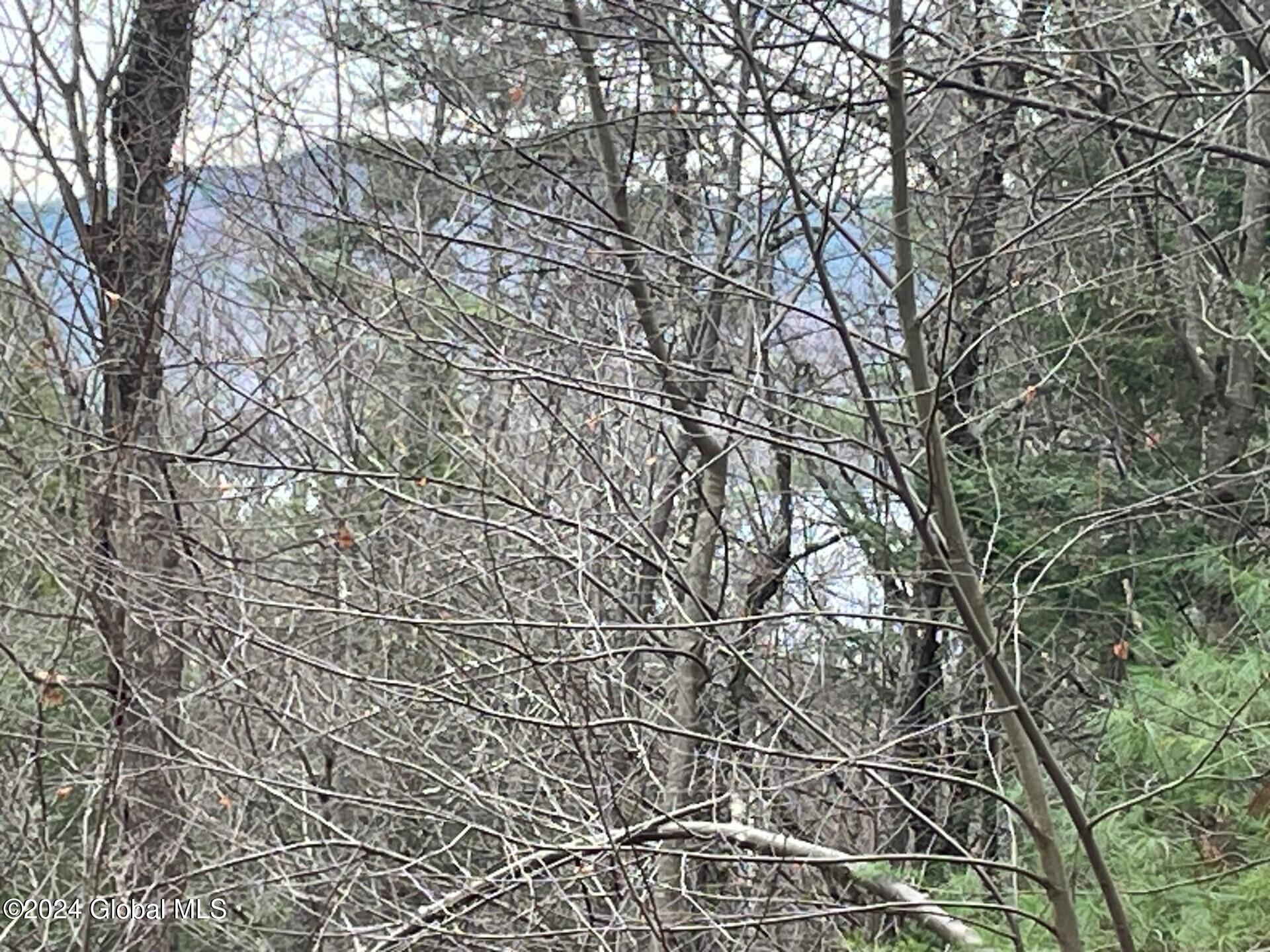 8 Lake Ridge Road Bolton NY 12814