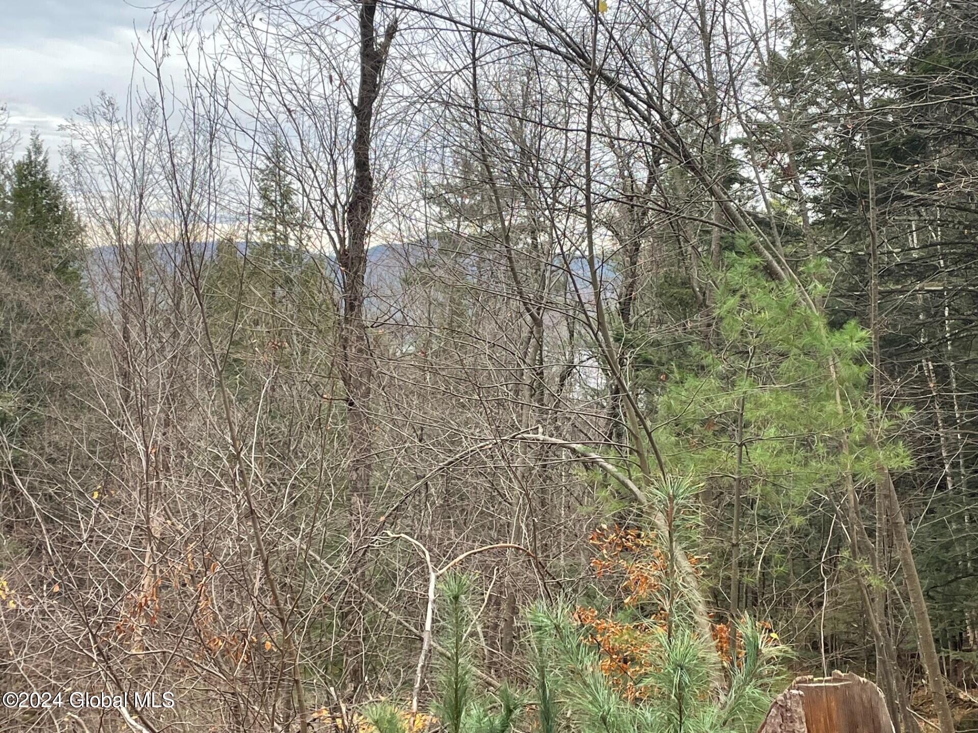 8 Lake Ridge Road Bolton NY 12814