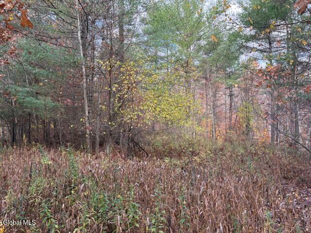 954A Route 9n Ausable Forks NY 12912