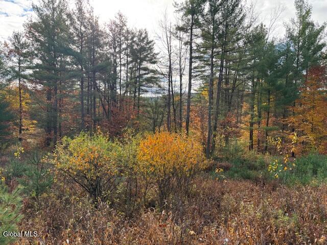 954A Route 9n Ausable Forks NY 12912